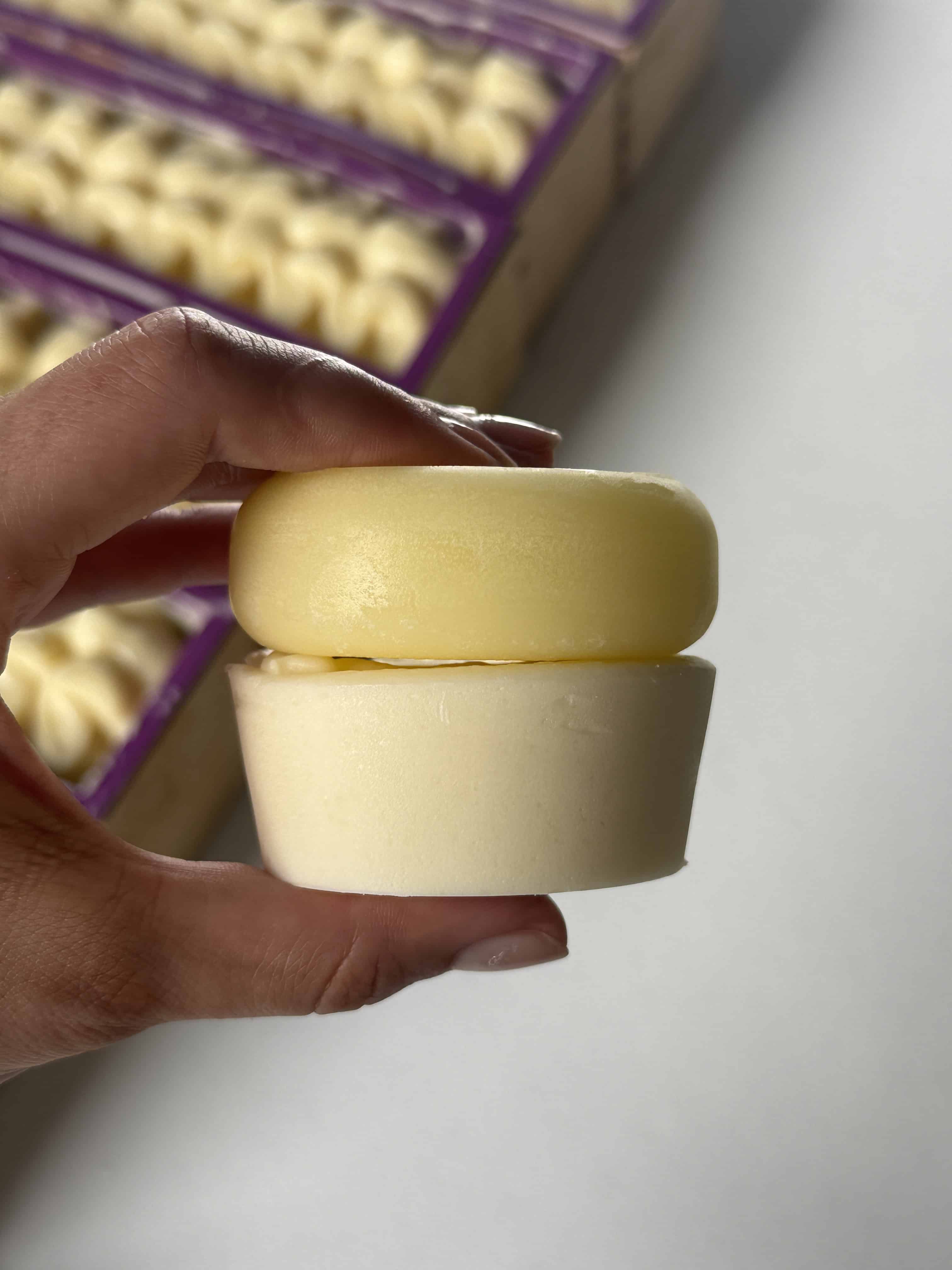 Healthy Scalp Shampoo Bar